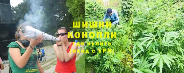 ПСИЛОЦИБИНОВЫЕ ГРИБЫ Вязьма