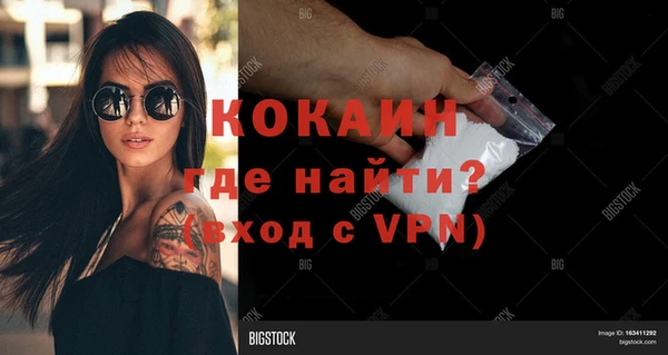 ПСИЛОЦИБИНОВЫЕ ГРИБЫ Вязьма