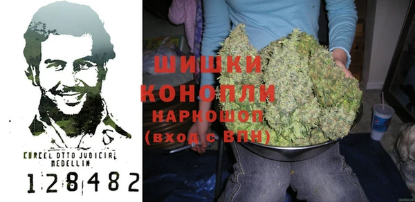 ПСИЛОЦИБИНОВЫЕ ГРИБЫ Вязьма